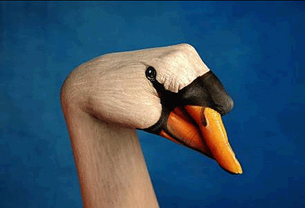 Hand-art-goose
